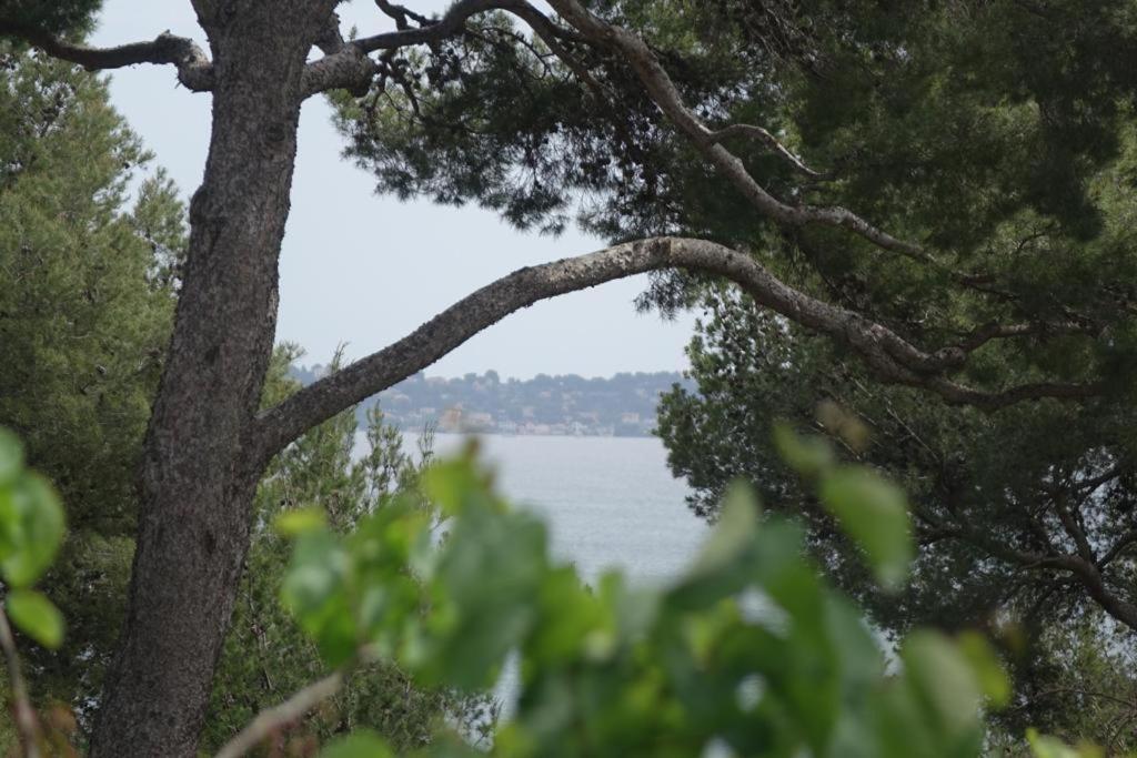 Residence Alouettes Hyeres Bagian luar foto